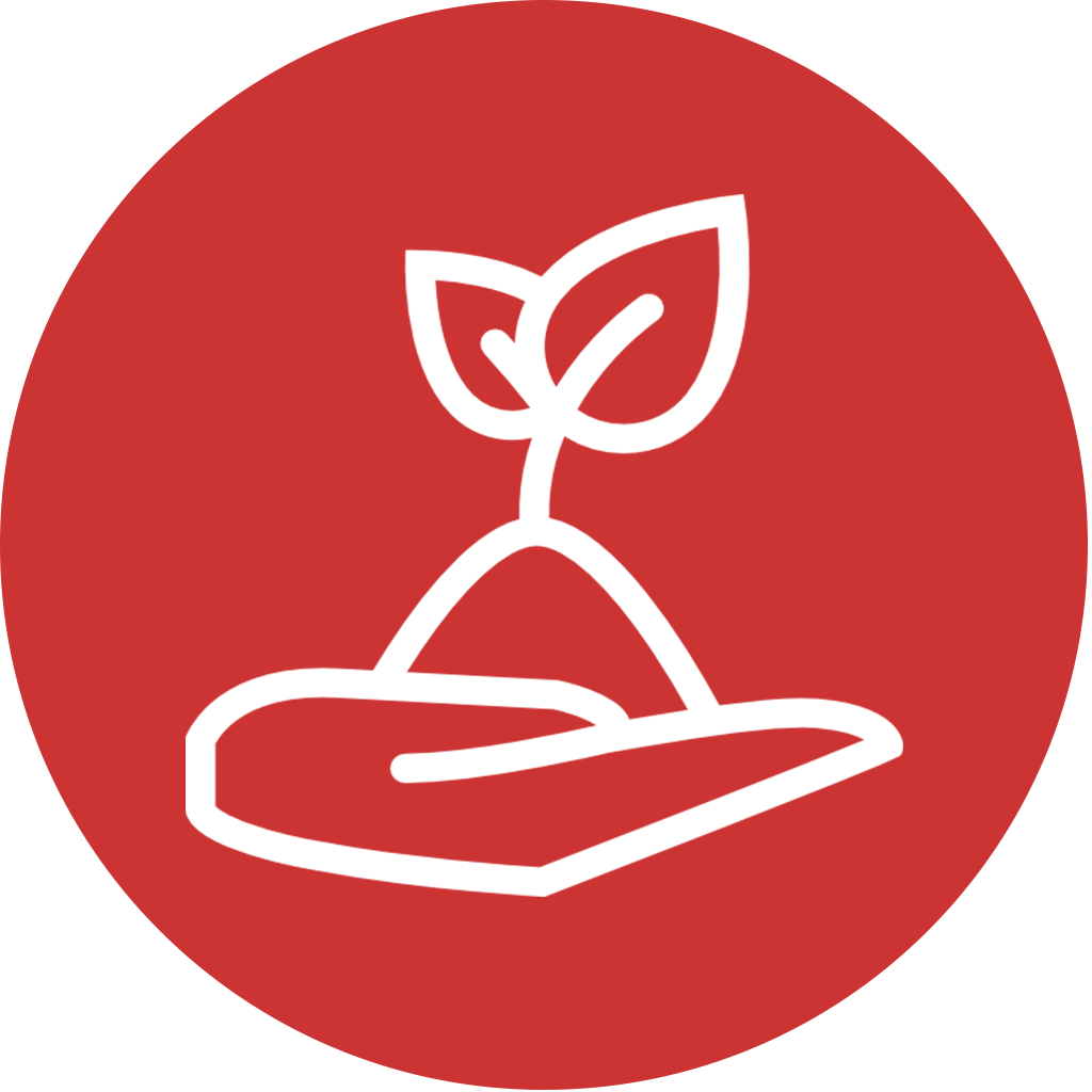 Seeds Sustainability